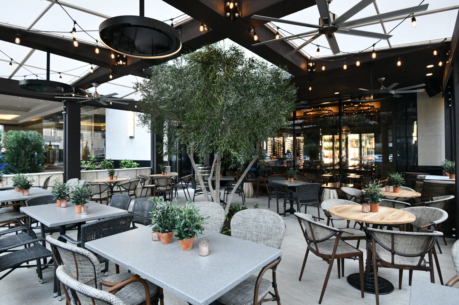 Eclipse Pendant and Platinum Electric at Stella’s Wine Bar